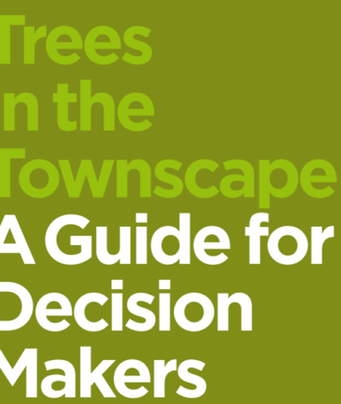 Trees in the Townscape guide