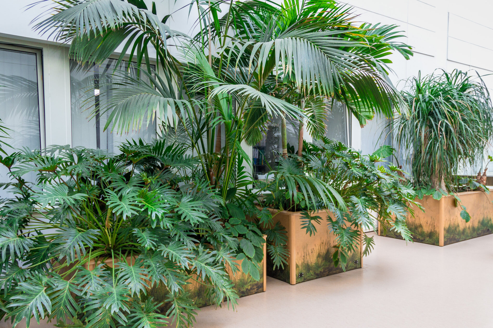 CW+ Greenhaven indoor garden at Chelsea and Westminster Hospital, June 2021