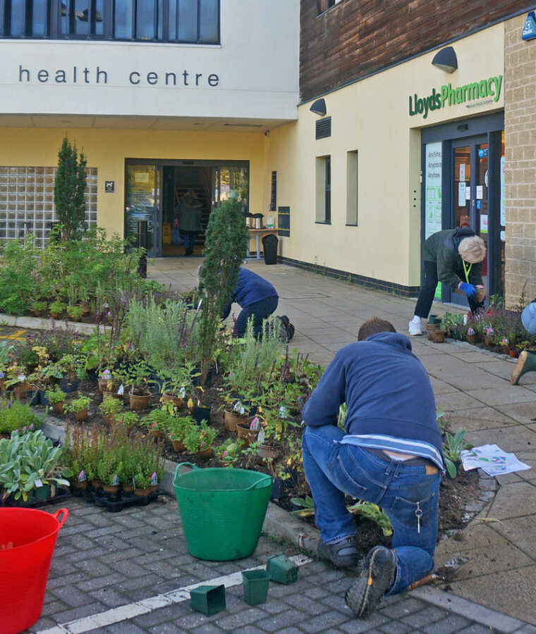 Planting for Bee Healthy project at Windrush Medical Practice. Photo: Roselle Chapman, Wild Oxfordshire. All rights reserved.