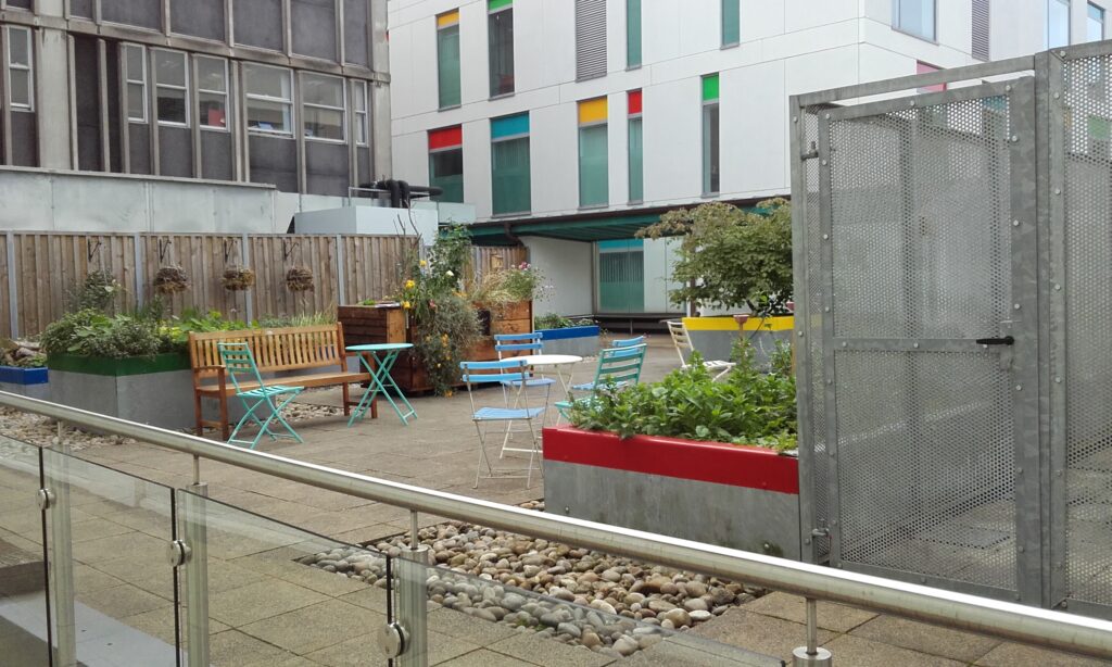 Bristol Precinct Urban Gardens - Bristol Heart Institute roof garden