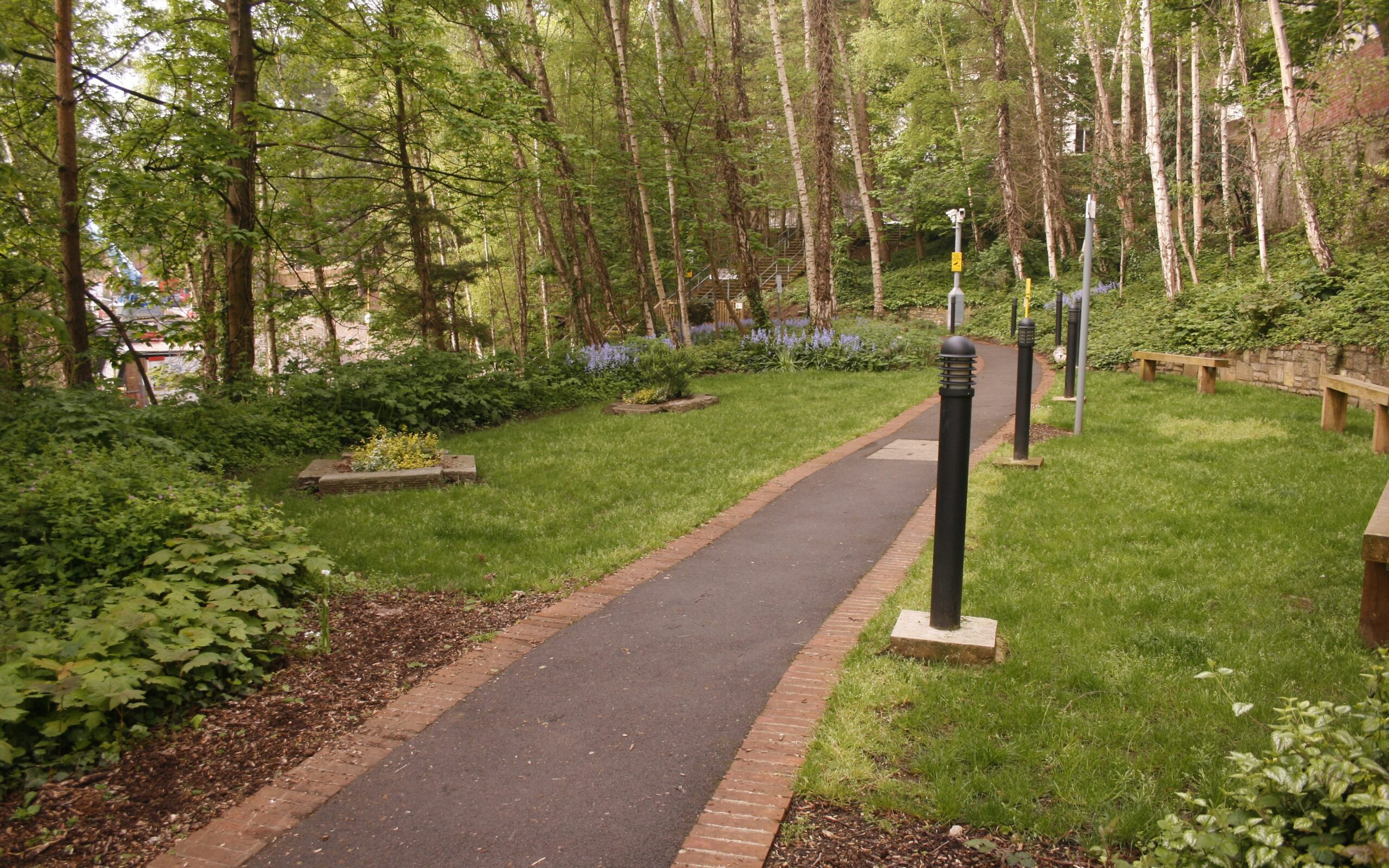 Bristol Precinct Urban Gardens - woodland walkway