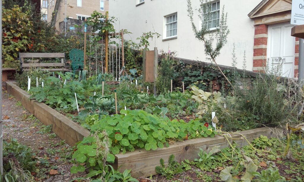 Bristol Precinct - allotment by car park on Marlborough Hill