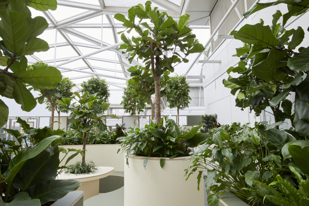 Sky Garden at Chelsea and Westminster Hospital