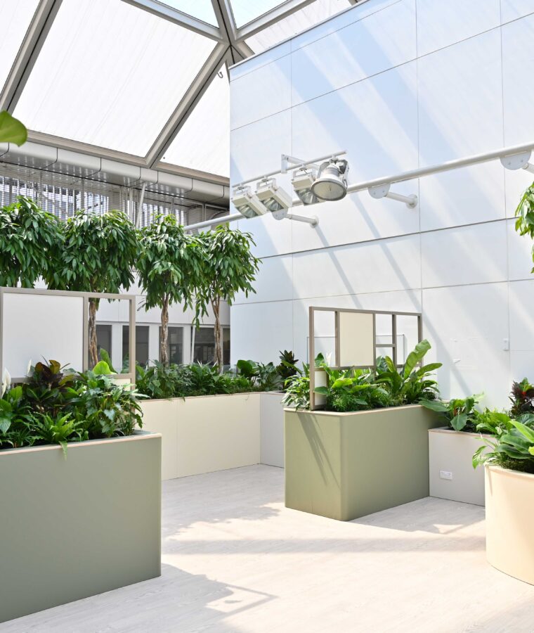 Sky Garden at Chelsea and Westminster Hospital