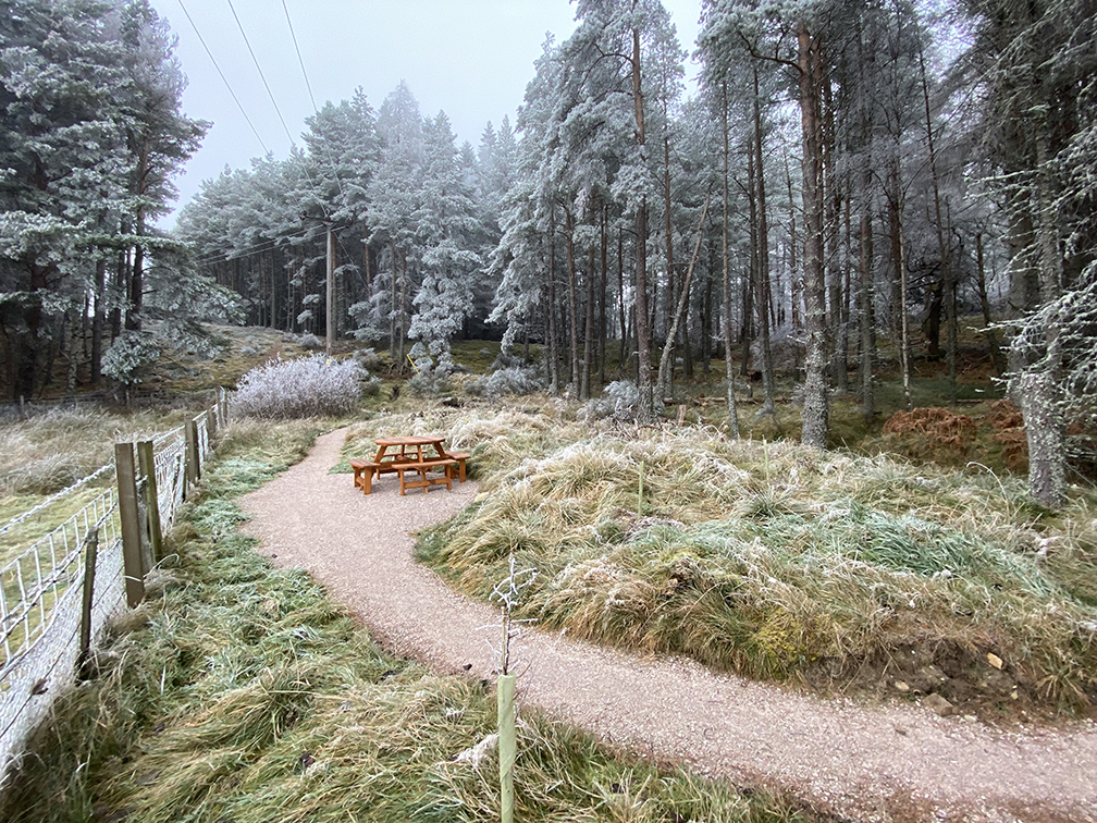 Grantown Health Wood