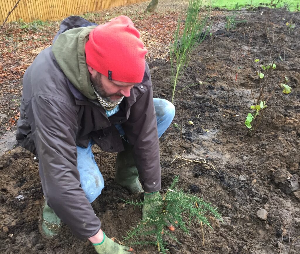 Ben Williams of Earthwatch Europe plants a tree in Littlemore Hospital's Tiny Forest