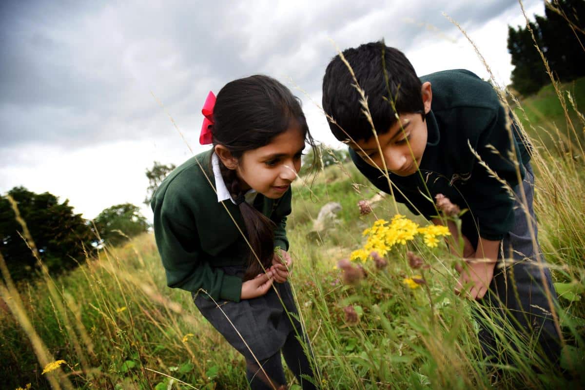Marston Green Health Route publishes map NHS Forest