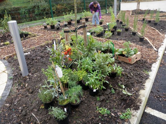 Todmorden Group Practice - Incredible Edible