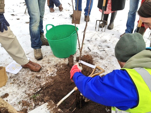 Orchard demonstration session at Bethlem Royal Hospital