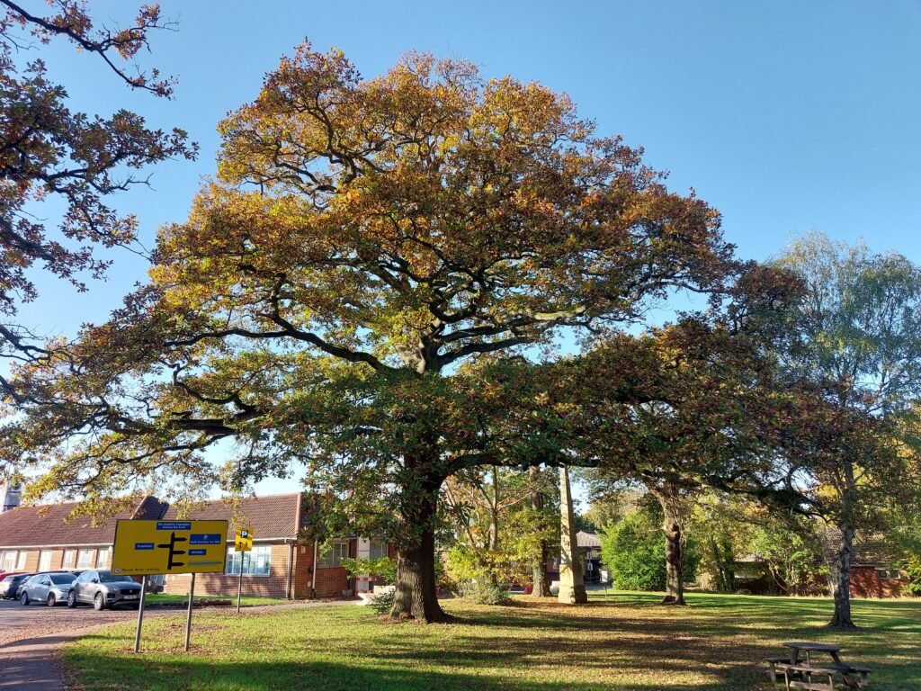 Royal National Orthopaedic Hospital, Stanmore. Photo: Kate Roberts. All rights reserved.