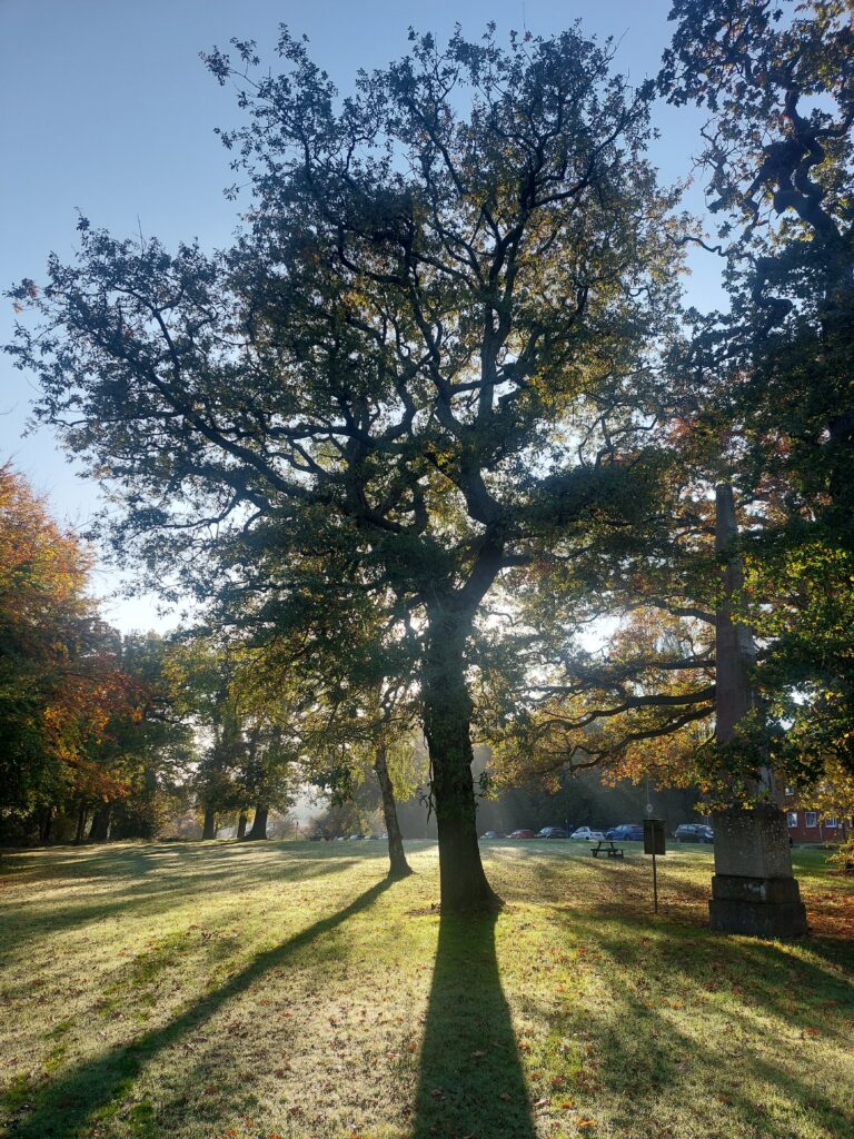 Royal National Orthopaedic Hospital, Stanmore. Photo: Kate Roberts. All rights reserved.