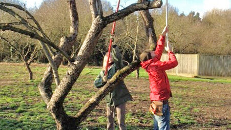 Bethlem Royal Hospital orchard volunteer sessions