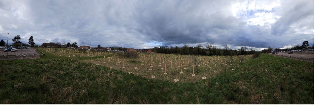 Leicester General Hospital Tree Planting, 2025