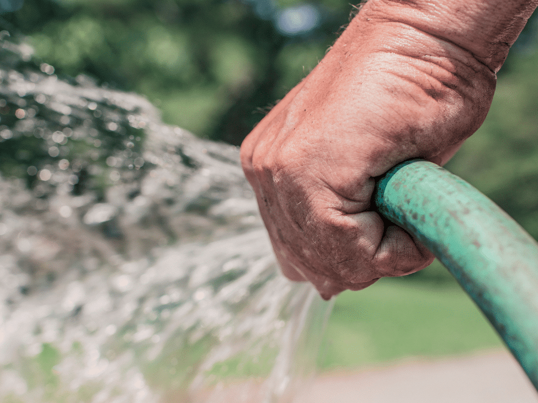 Watering. All rights reserved.