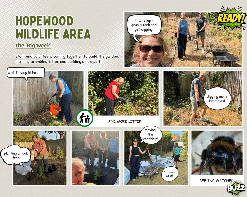 Hopewood Garden Project